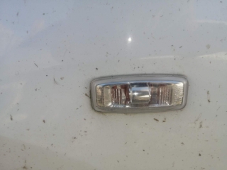 Повторитель поворота  в крыло, NISSAN, ALMERA, G15, K4M, 2014, F, L
