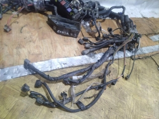 Проводка подкапотная, TOYOTA, CORSA, EL43, 5E-FE, 1994