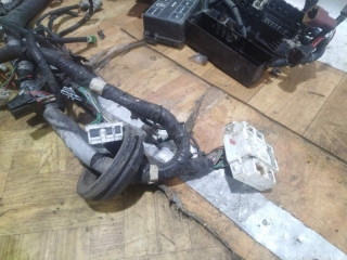 Проводка подкапотная, NISSAN, WINGROAD, WFY11, QG15DE, 2000