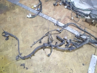Проводка подкапотная, TOYOTA, PROBOX, NCP51, 1NZ-FE, 2002