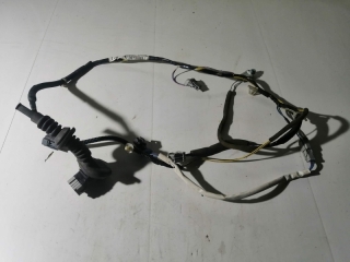 Проводка двери, HONDA, ODYSSEY, RA6, F23A, 2001, R, L