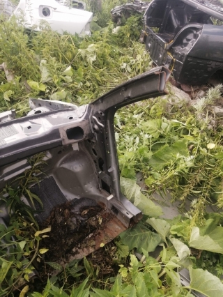 Стойка кузова, FORD, FOCUS, DNW, Ford Zetec 2.0, 2002, F, R