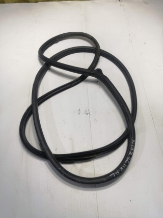 Уплотнитель дверного проема, NISSAN, TIIDA, SC11X, HR16DE, 2010, F, L