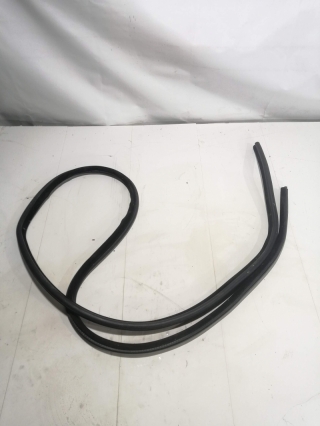 Уплотнитель дверного проема, BMW, 5-SERIES, E60, M54B25, 2005, R, L