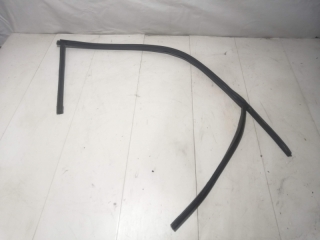 Уплотнитель стекла двери, NISSAN, PRIMERA, P12, QG18DE, 2002, F, L