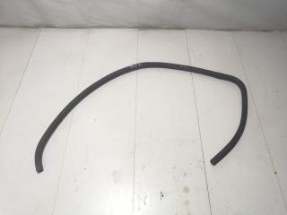 Уплотнитель дверного проема, TOYOTA, PROBOX, NCP51, 1NZ-FE, 2002, F, L