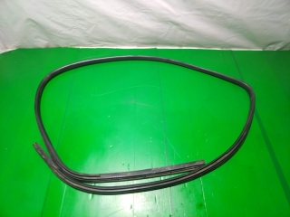 Уплотнитель дверного проема, NISSAN, PRIMERA, P11, QG18DE, 2000, F, R