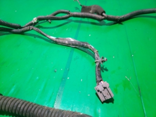 Проводка двери, NISSAN, PRIMERA, P12, QG18DE, 2002, R, 24025-AU001