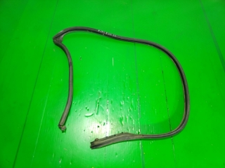 Уплотнитель двери, BMW, 5-SERIES, E60, M54B22, 2003, R, L