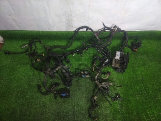 Проводка подкапотная, CHEVROLET, COBALT, T250, B15D2, 2013