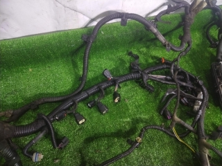 Проводка подкапотная, CHEVROLET, COBALT, T250, B15D2, 2013