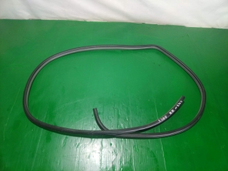 Уплотнитель дверного проема, CHEVROLET, LACETTI, J200, F16D3, 2007, R, R