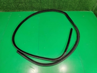 Уплотнитель дверного проема, BMW, 5-SERIES, E60, M57N2, 2008, F, R