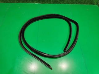 Уплотнитель дверного проема, BMW, 5-SERIES, E60, M57N2, 2008, F, L