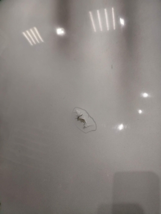 Капот, BMW, 5-SERIES, E60, M57N2, 2008