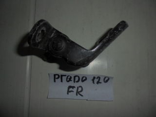Петля двери, TOYOTA, LAND CRUISER PRADO, GRJ120, 1GR-FE, 2008, F, R
