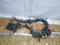 Проводка подкапотная, NISSAN, WINGROAD, WFY11, QG15DE, 2000
