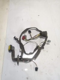 Проводка двери, RENAULT, SYMBOL, LB, K7JA700, 2008, F, L