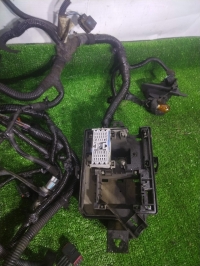 Проводка подкапотная, CHEVROLET, COBALT, T250, B15D2, 2013