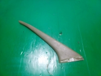 Уголок двери внутренний, MERCEDES BENZ, S-CLASS, W126, M117 E50, R, R