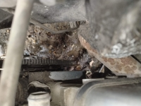 Двигатель, MERCEDES BENZ, S-CLASS, W126, M117 E50
