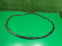 Уплотнитель стекла кузова, TOYOTA, LAND CRUISER 100, UZJ100, 2UZ-FE, 2000, R, R